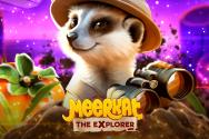 Meerkat, the explorer